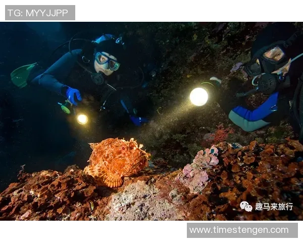 极限运动的魅力与挑战张静分享她的职业生涯与心路历程